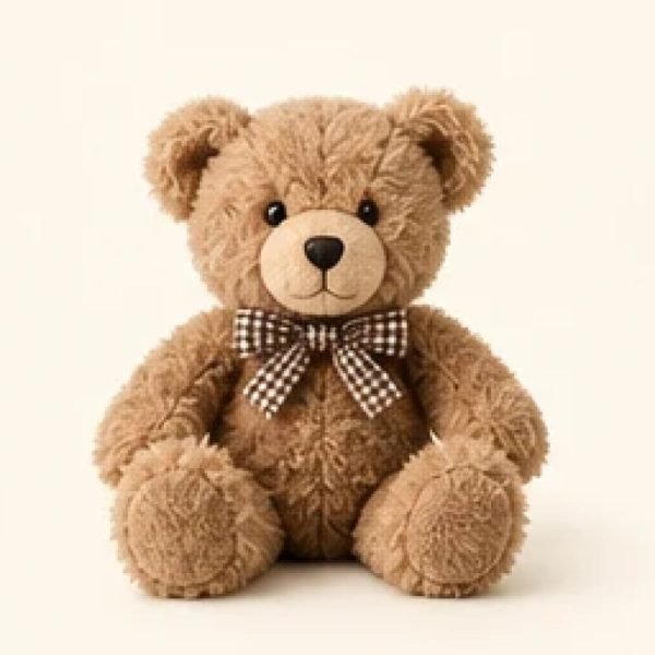 Cuddle Club Teddy